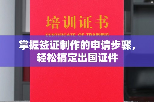政和掌握签证制作的申请步骤，轻松搞定出国证件